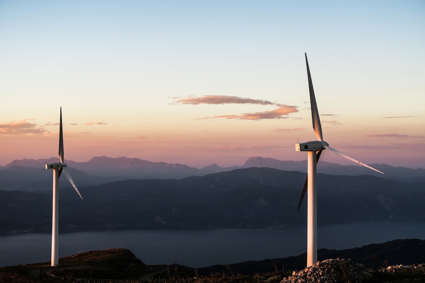 How Small Businesses Can Secure Green Grants Today