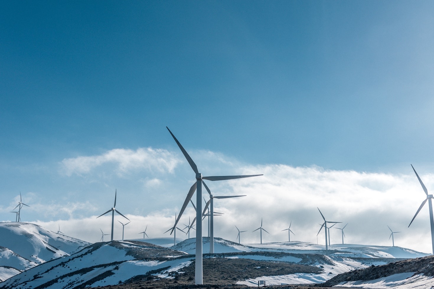 Why Going Green is Good for Your Bottom Line